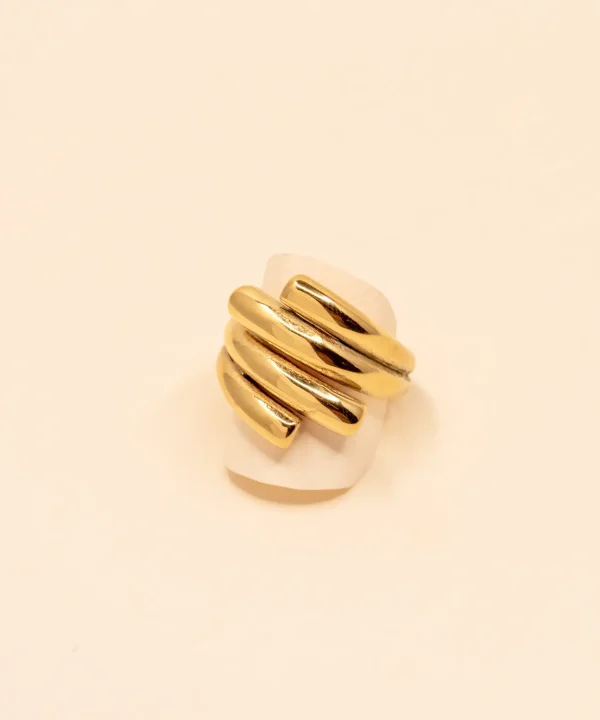 Anello rondine