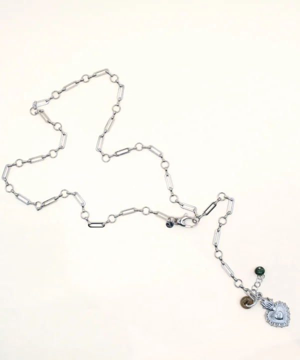 Suisen criosa principale